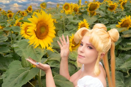 Usagi – sunflower