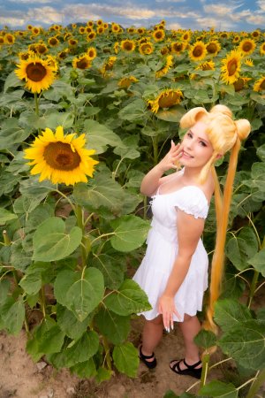 Usagi – sunflower